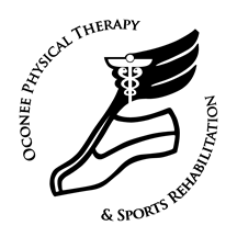 Dr. Brittany Moon, DPT, PT, OCS