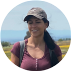 Ladybird Daniel, LPCC