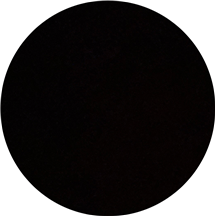 Briseida (Bri) Perez-Gomez, LCSW