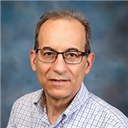 All provider availability