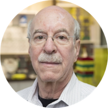Dr. Steven Fell, OD