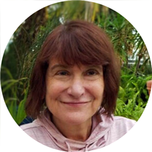 Elana Seaman, LCSW, LCSW-R